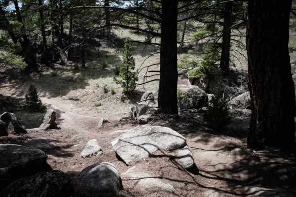 Moto St Downhill