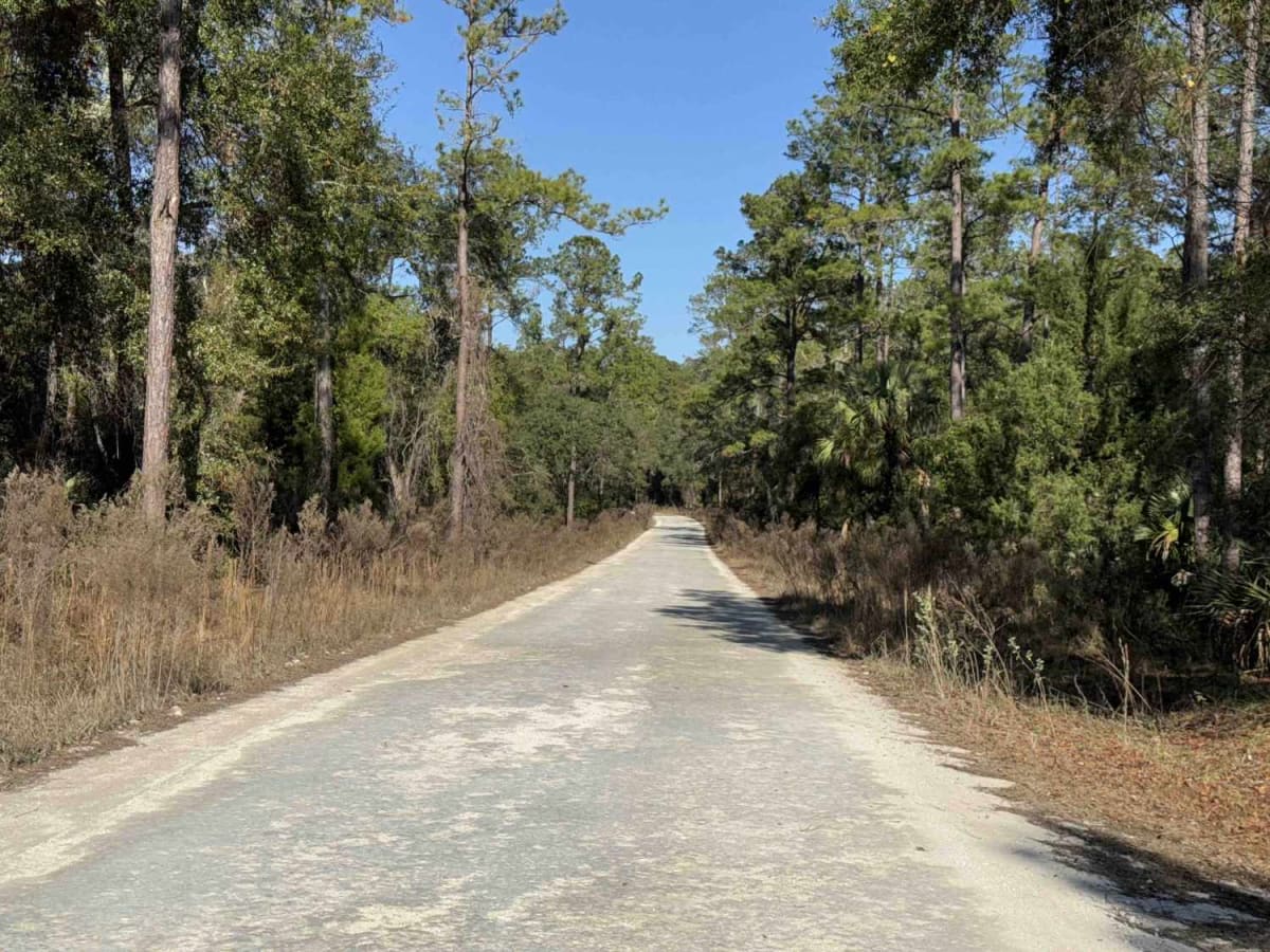 Fort Gates Ferry Road - ONF 29 photo 3