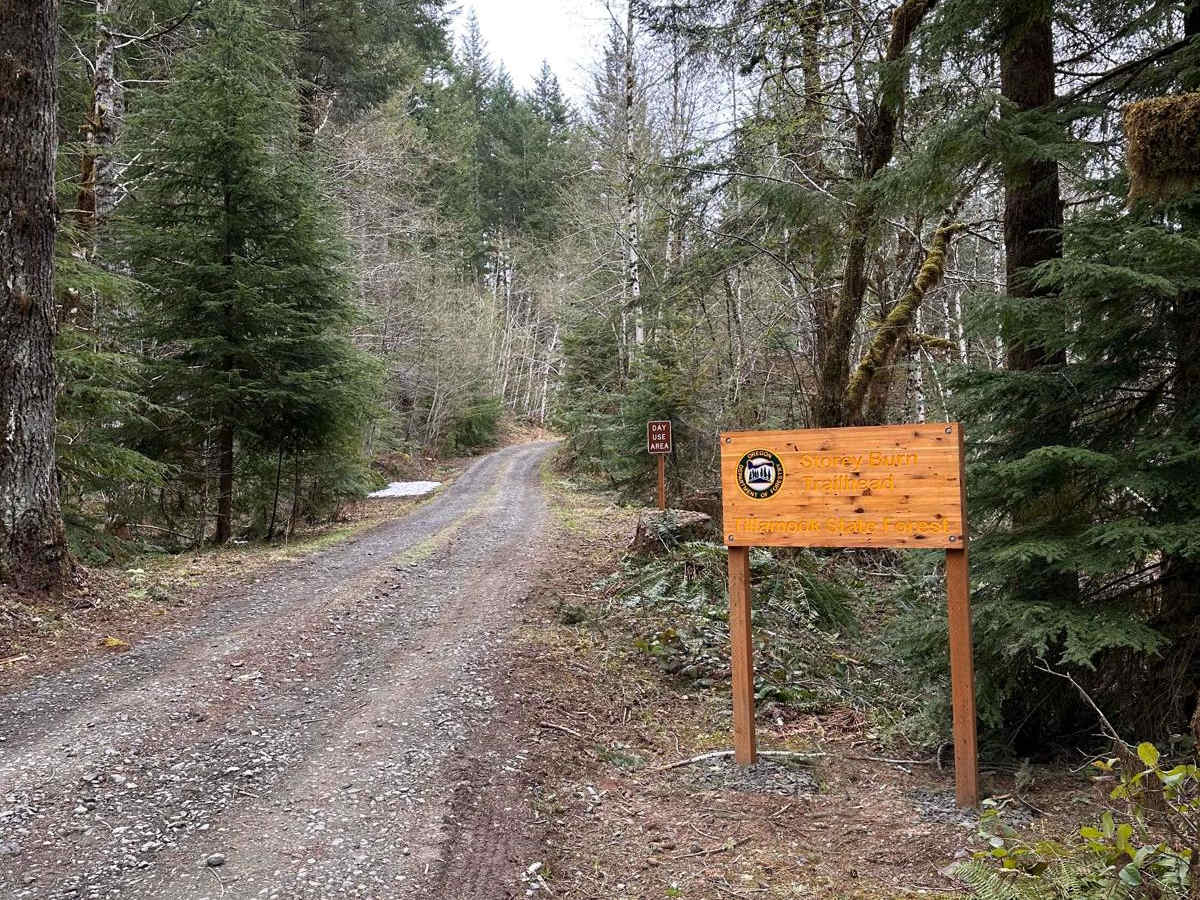 StoreyBurn photo 3