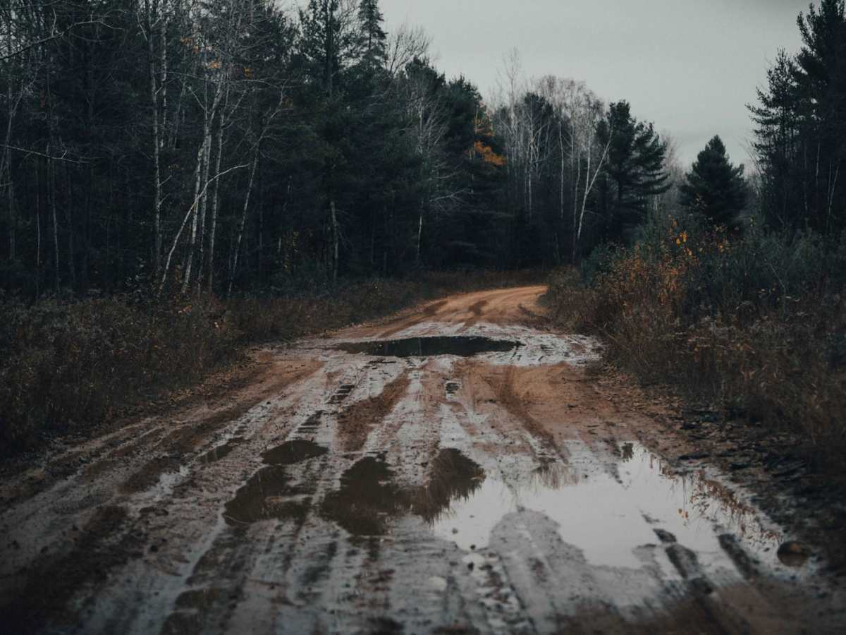 Westman Lake Logging Route photo 6