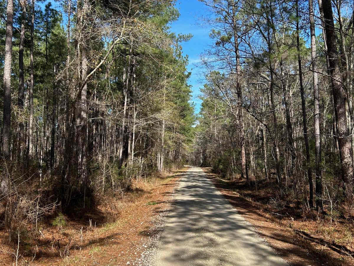 Hampton Road - FSR170 photo 4