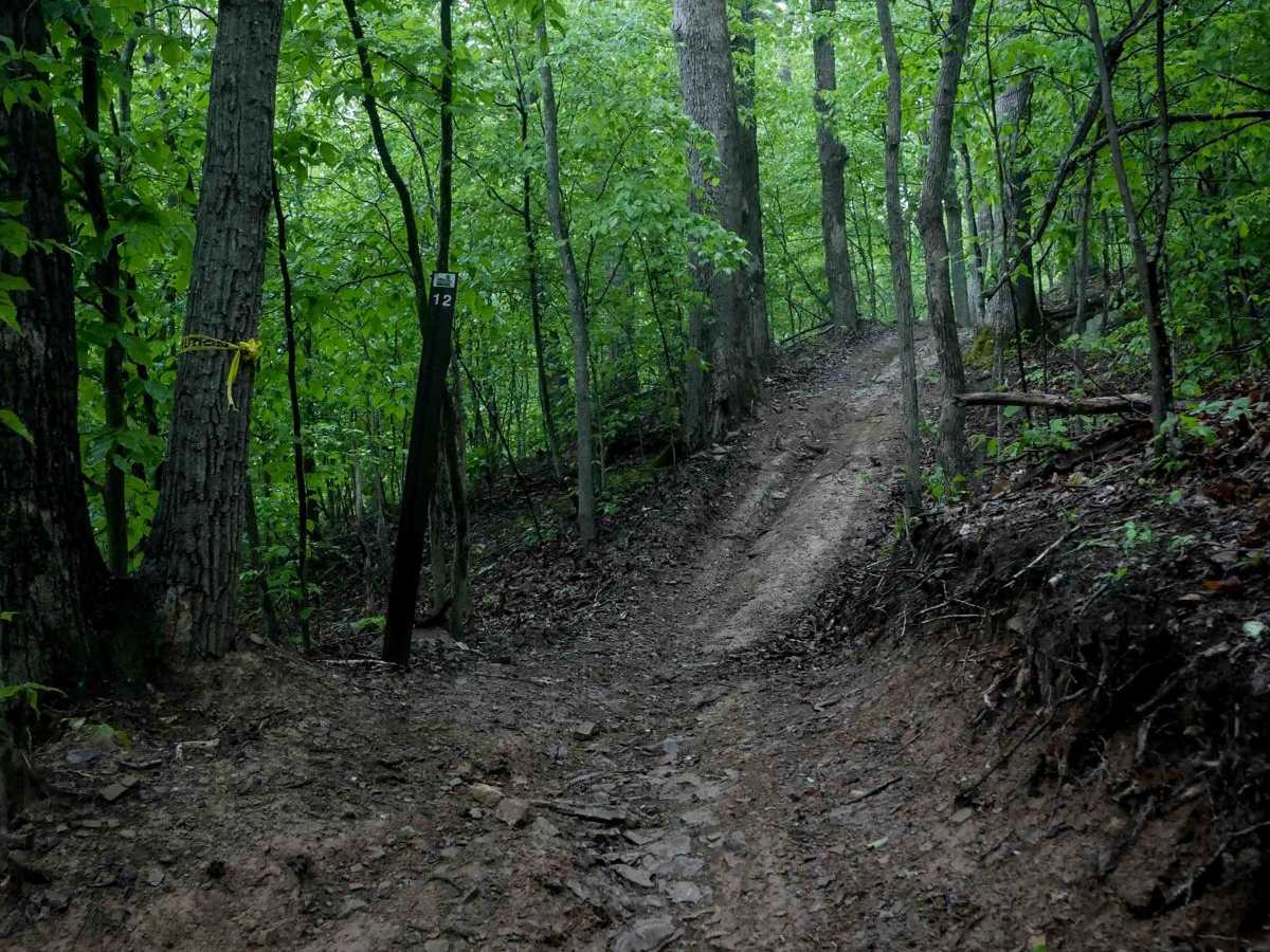 T12 trail photo