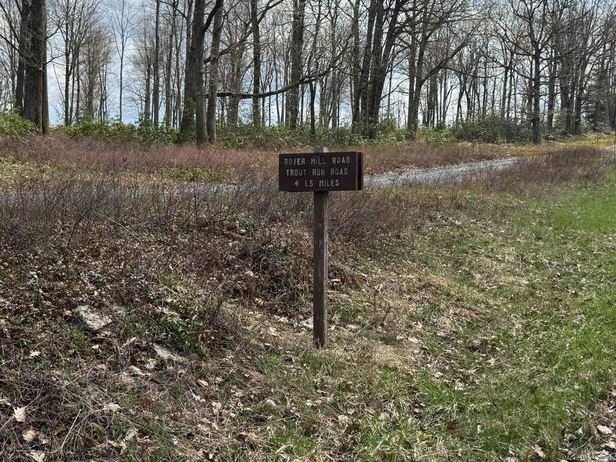 Boyer Mill Road trail photo