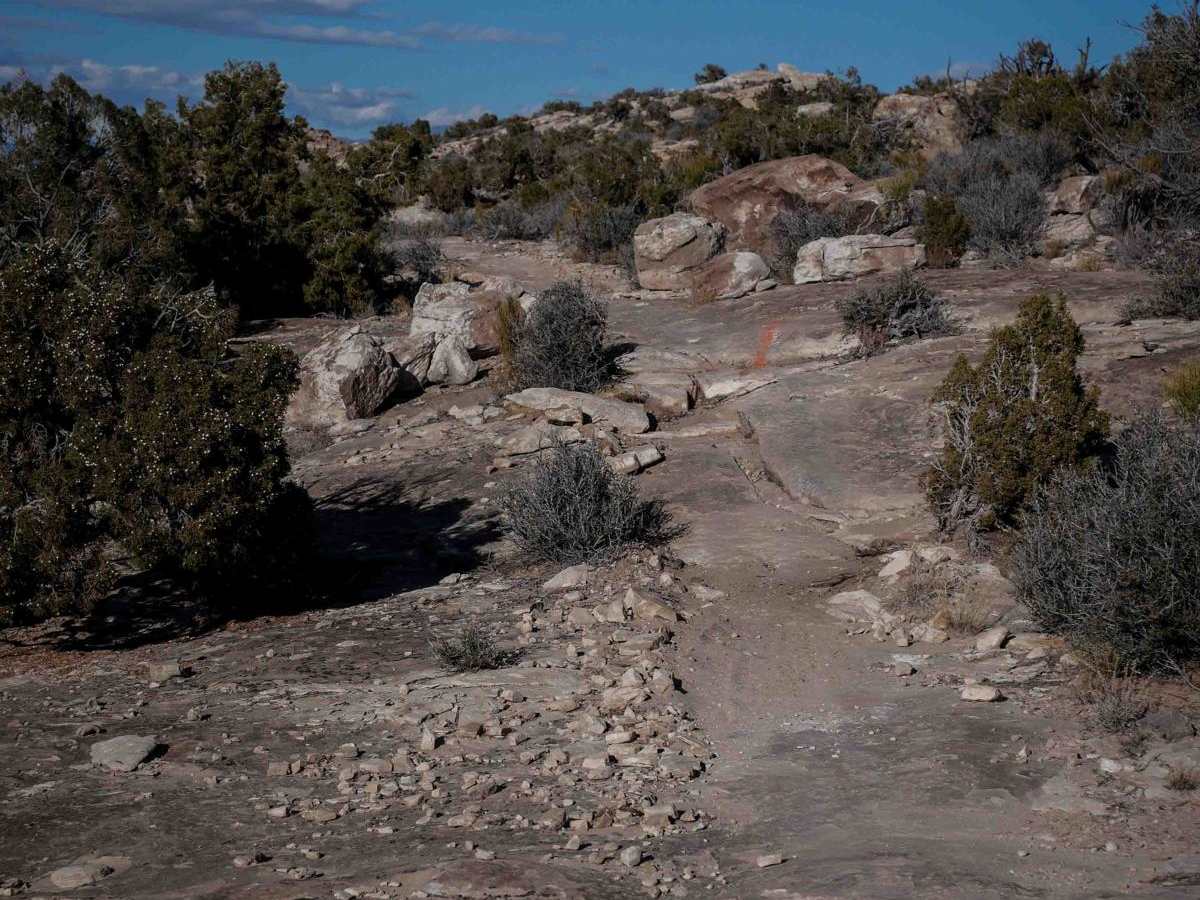 Slickrock photo 6