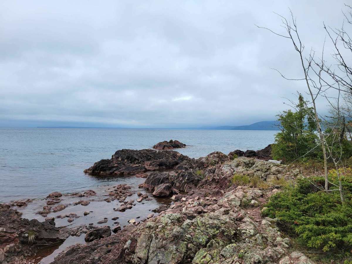 Fish Cove Cut photo 3