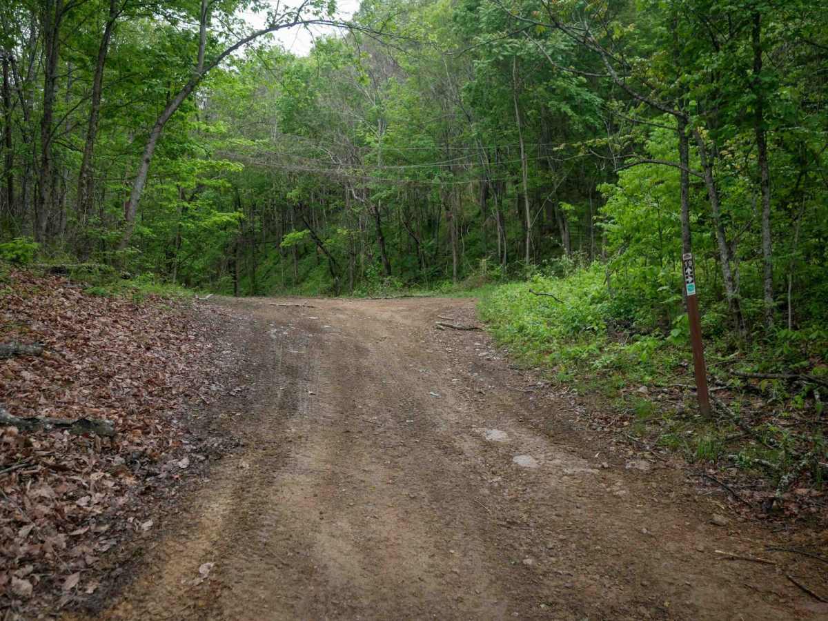 BM 19 trail photo