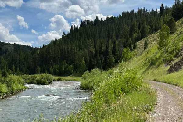 Lower Cabin Creek