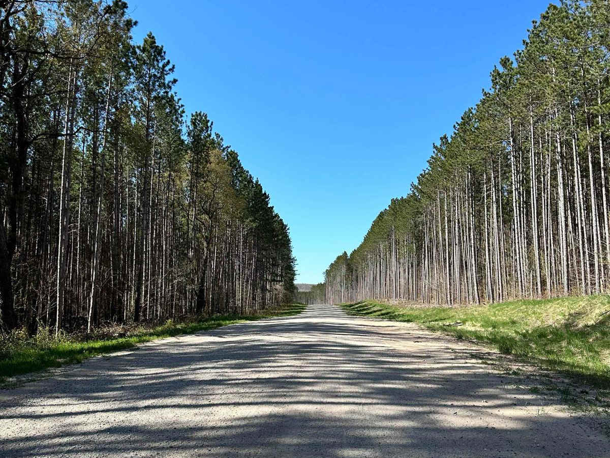 Cadillac Area ORV/OHV Scenic Ride - Part 19 trail photo