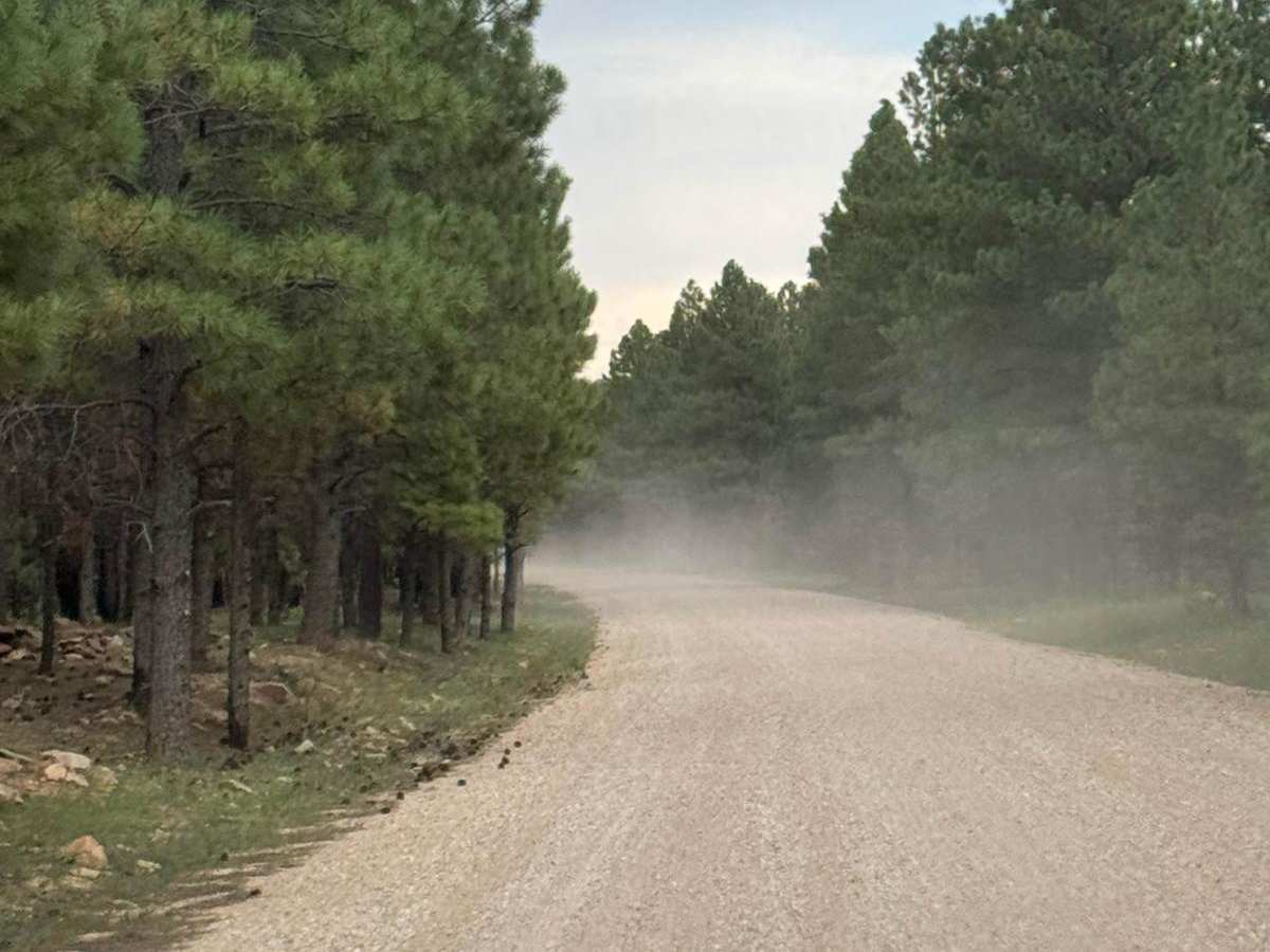 Wallace Road photo 3