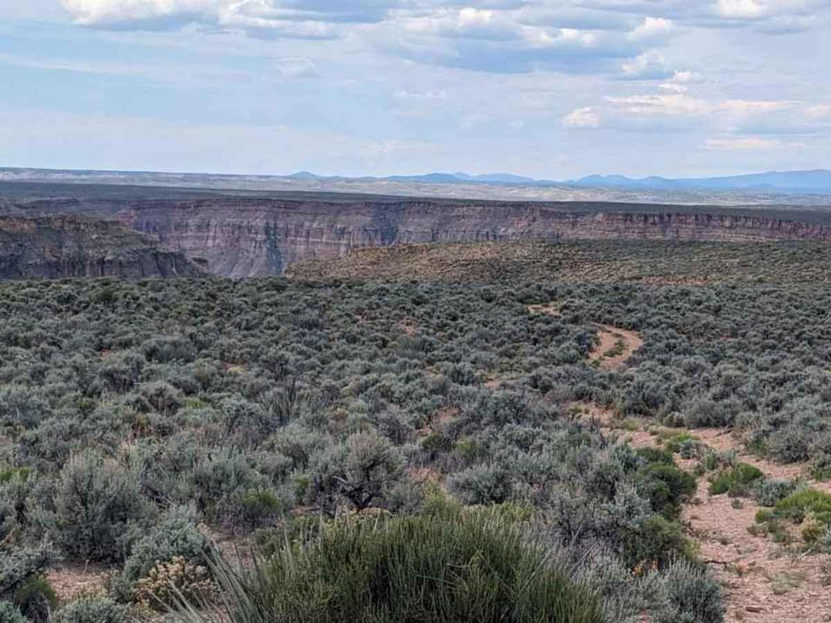 Gunsight Tank Trail - BLM183 photo 4
