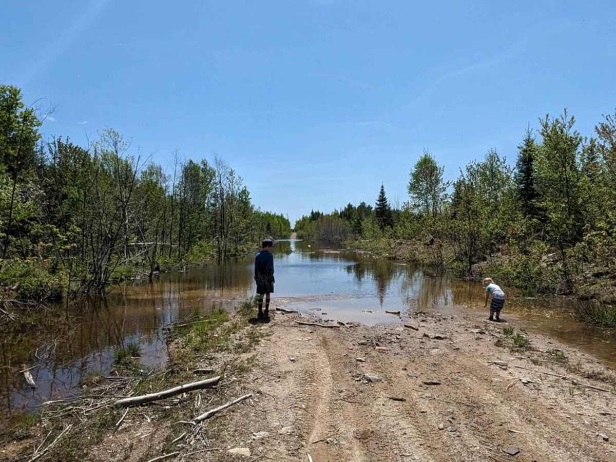Pioneer Steet trail photo