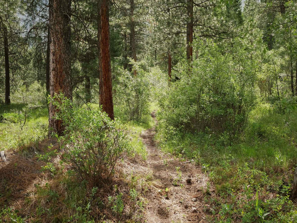 Powder Gulch photo 4