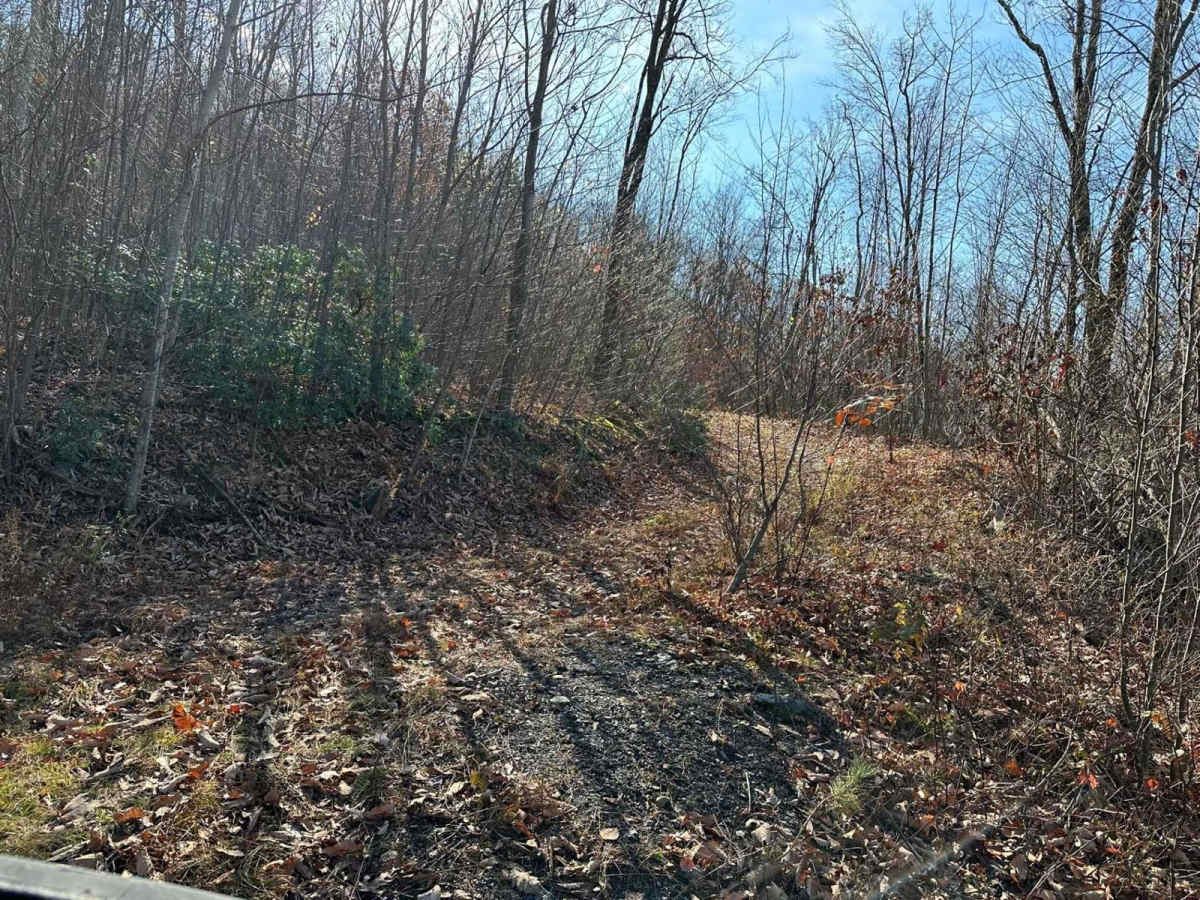 Ashland 166 photo 2