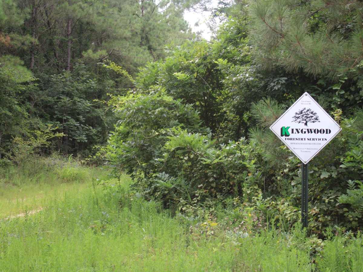 Hempstead 307 Road photo 2