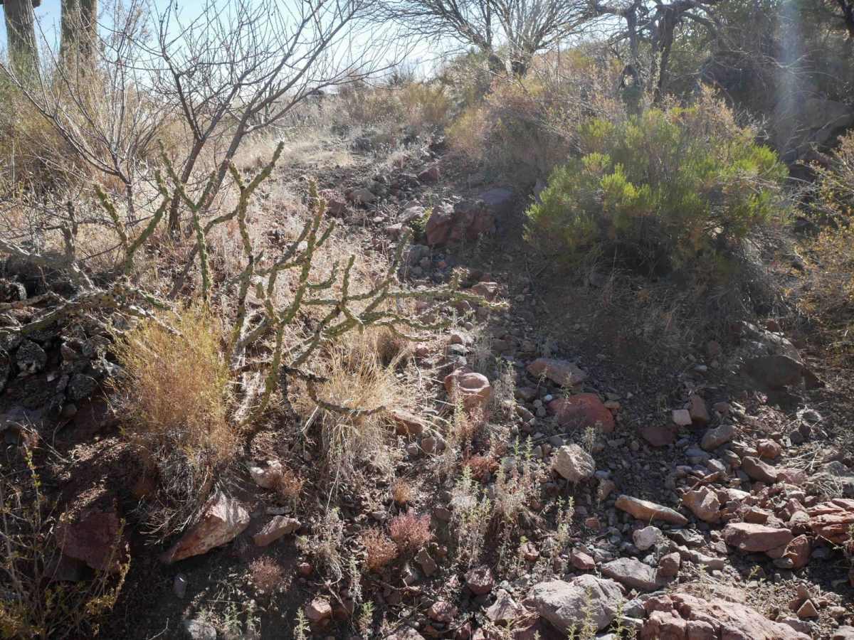 Big Reef Mill Singletrack photo 4