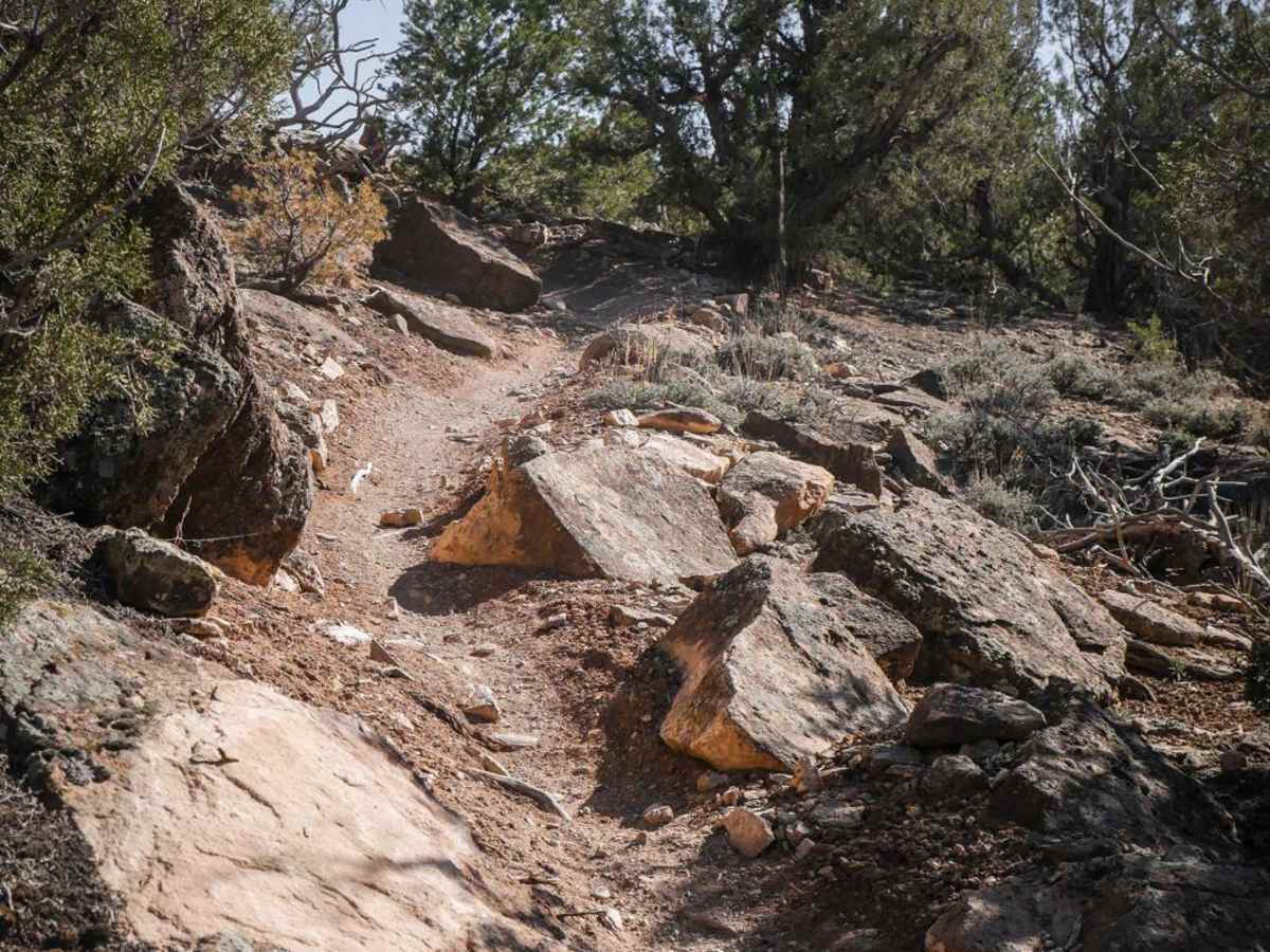 Coyote Cutoff trail photo