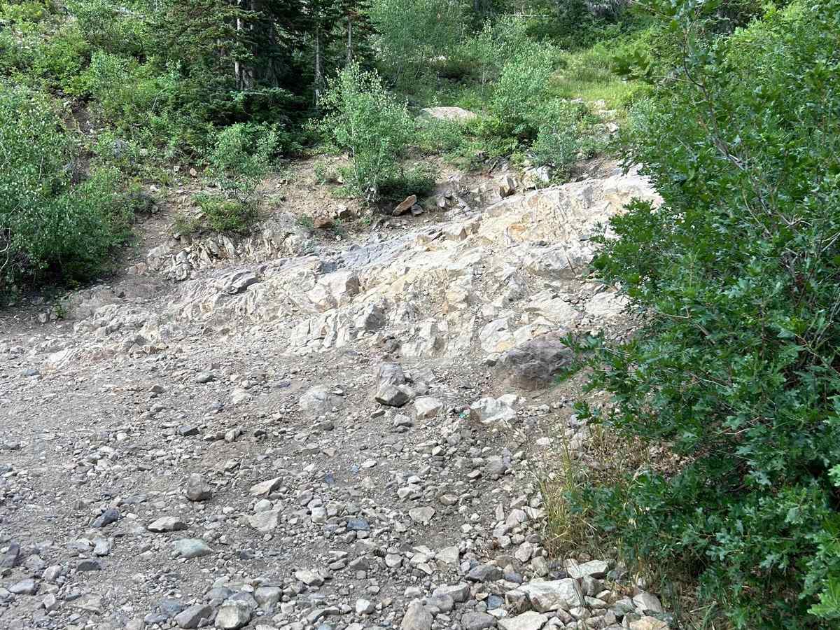Mineral Basin Trail photo 2