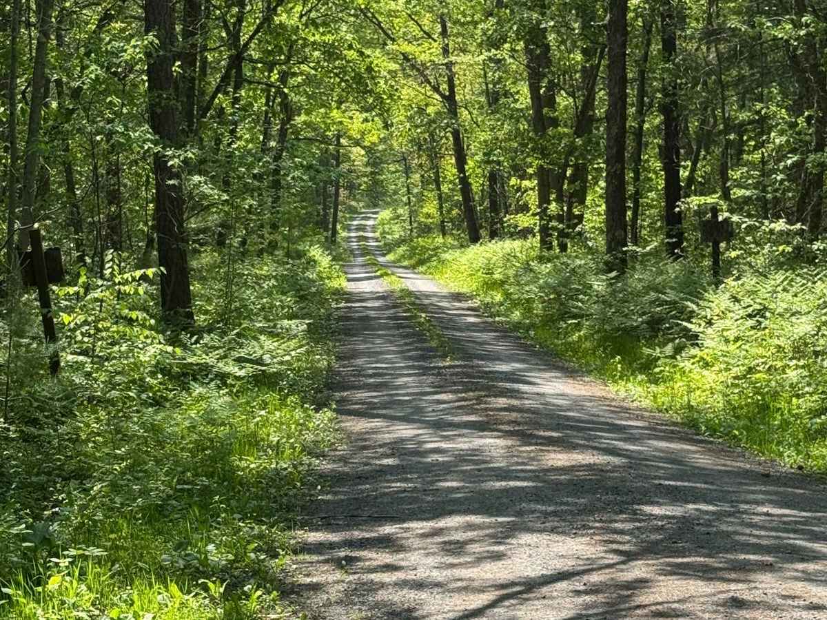 Seven Mile Road photo 2
