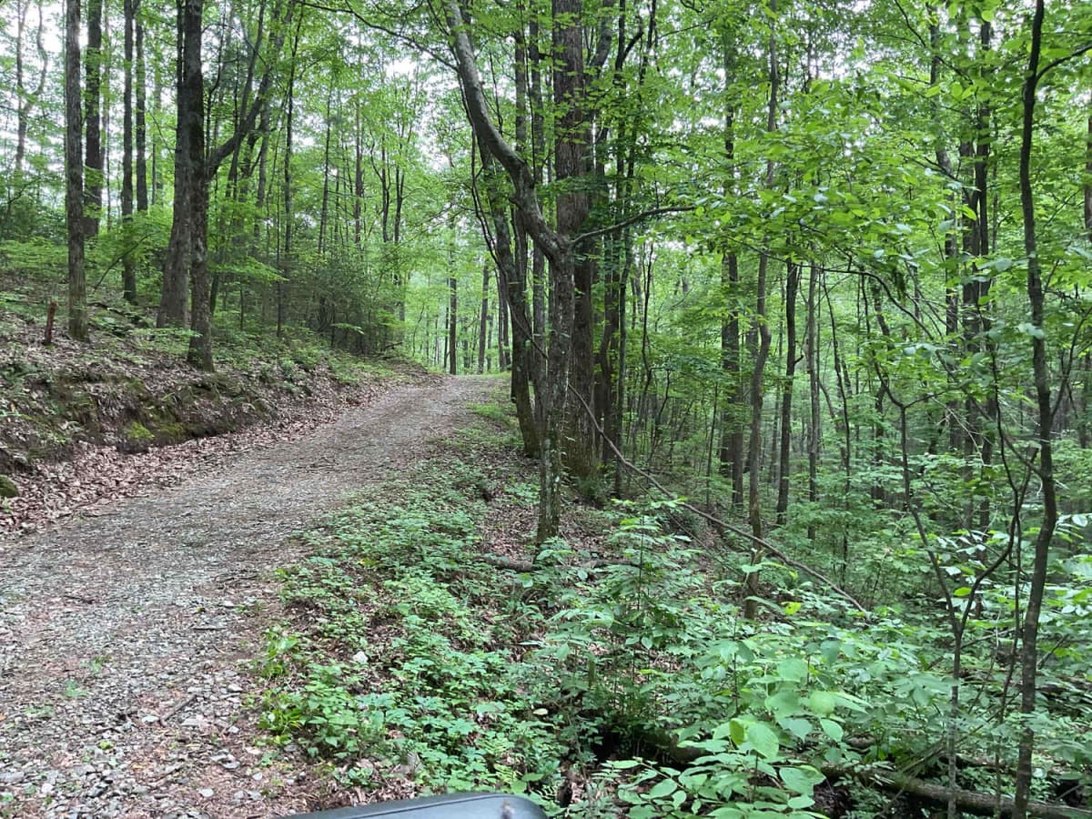 Blue Mountain Spring - FS 639 photo 6