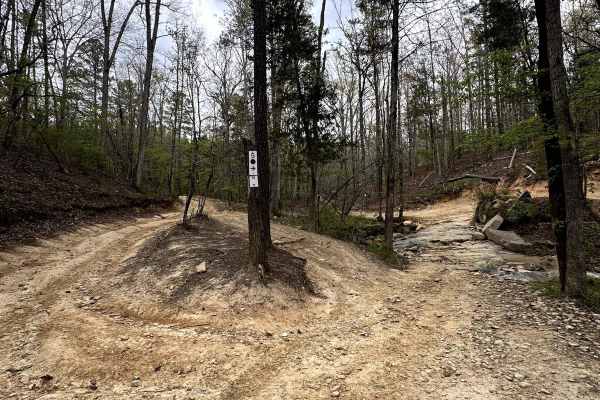 Trail 10