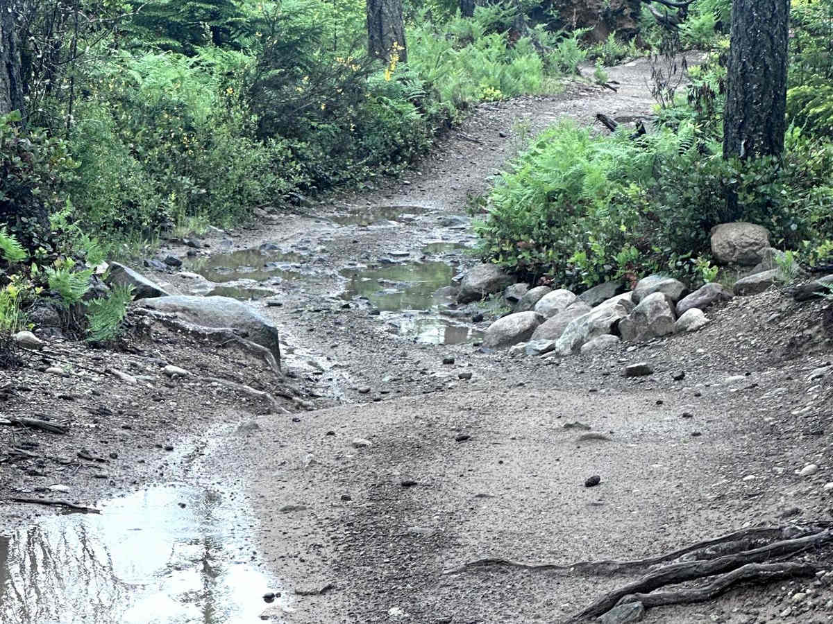 84 N Trail photo 5