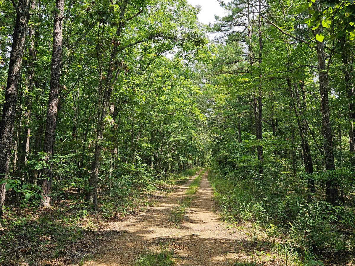 Camp Roy - FSR 3208 photo 4