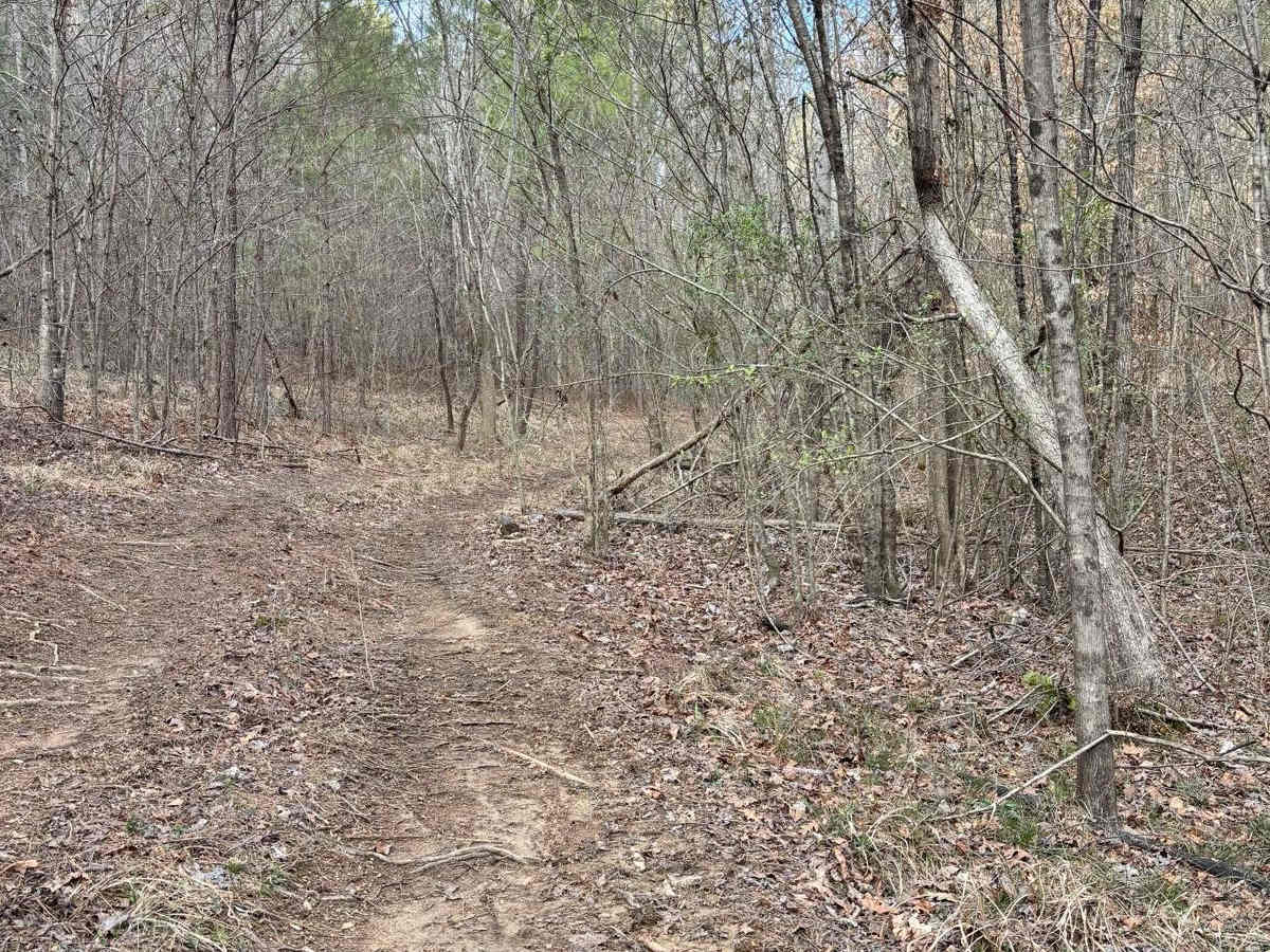 Ed's Holler photo 4
