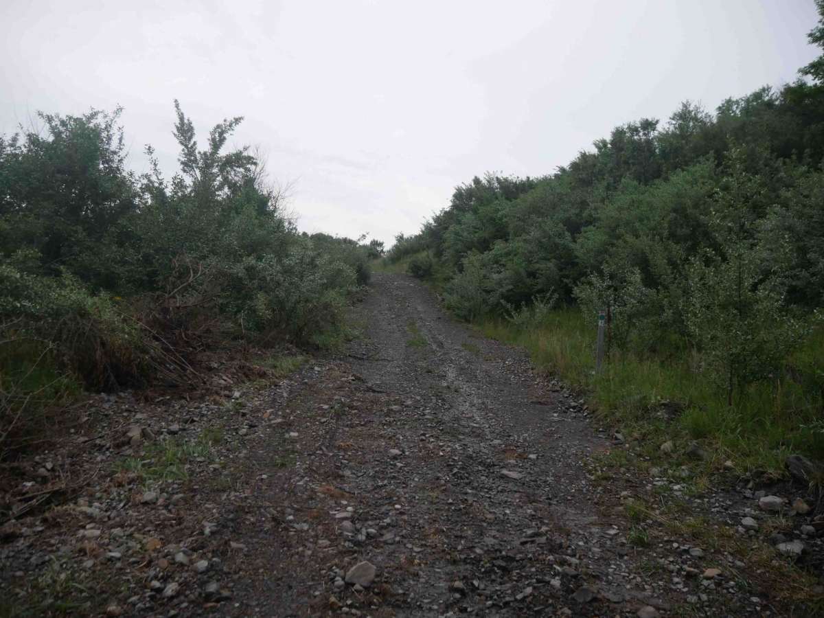 CC42 photo 6