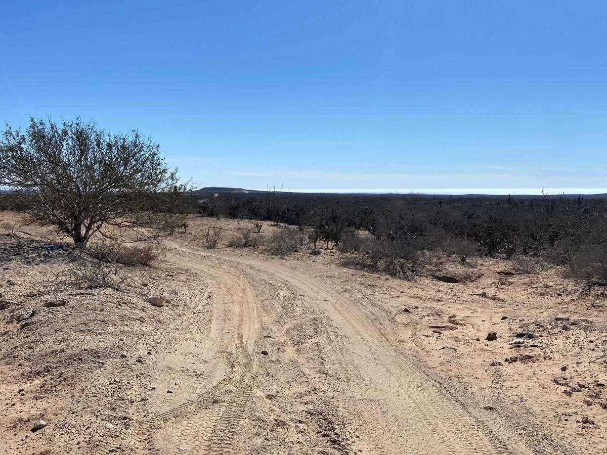 San Juanico La Purisima Access Loop photo 6