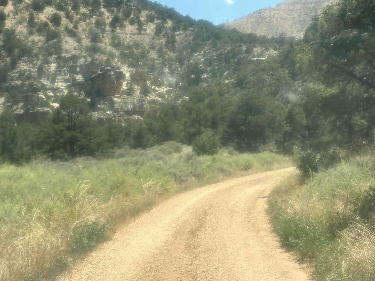 Pine Flat photo 4