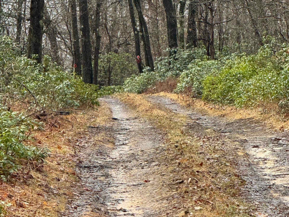 Eddy Lick Trail photo 5