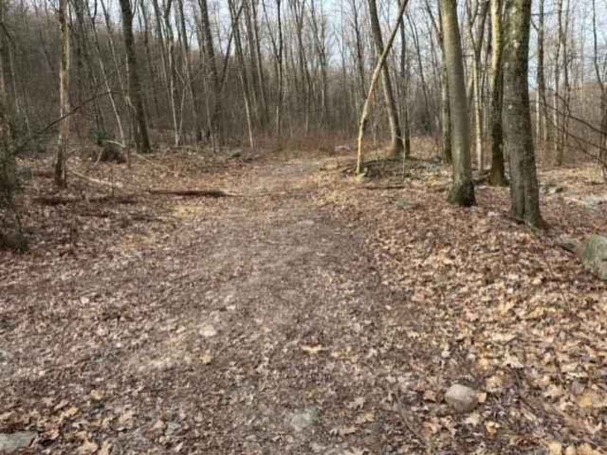 Tower City 8 trail photo