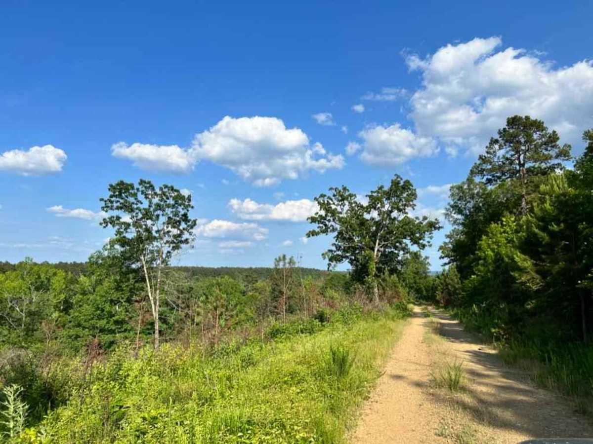 Buffalo Creek Camp trail photo