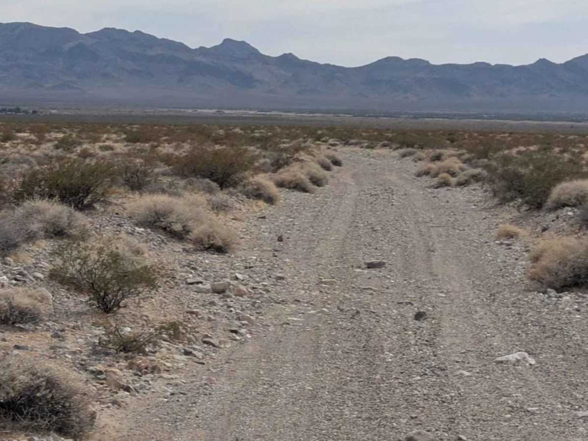 Crystal Road Alternate trail photo