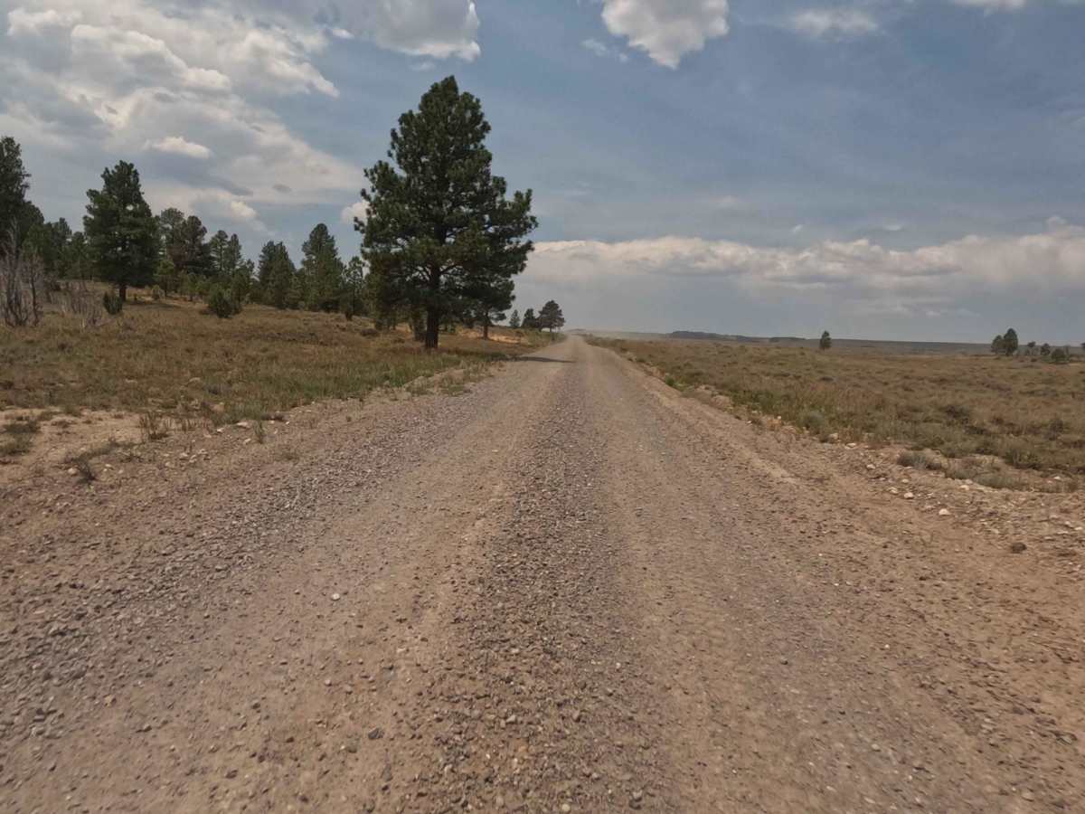 Toms Best Spring Road (BLM 33001A-30117) photo 3