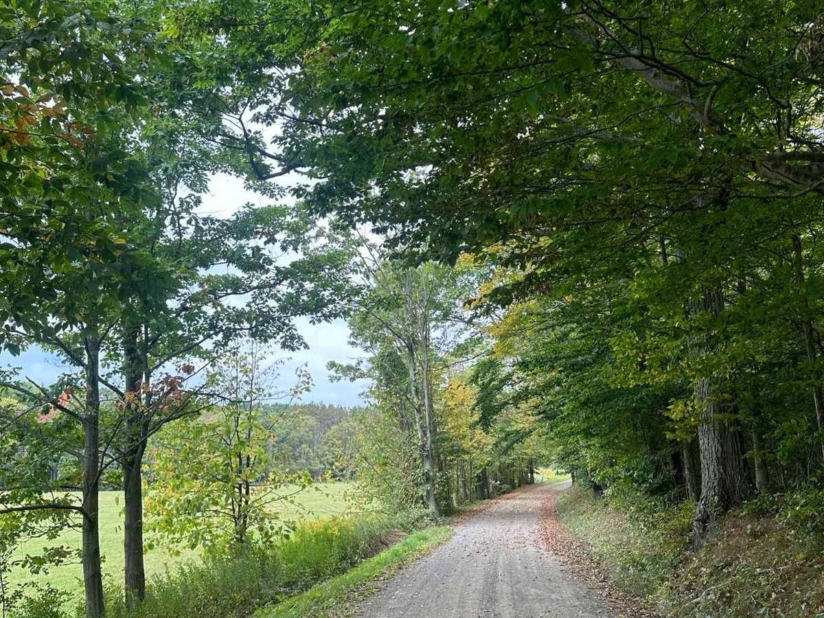 Sturdevant Road (Seasonal) photo 6