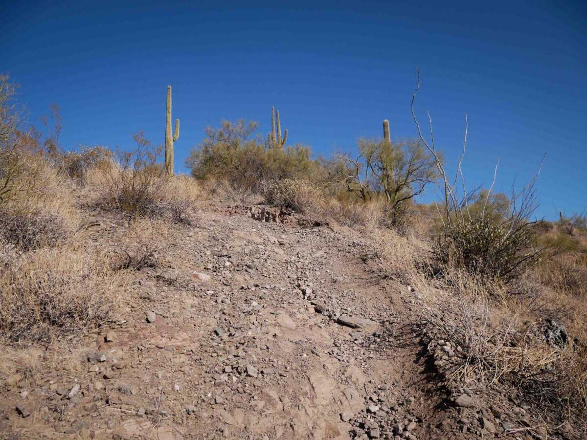 32019 trail photo