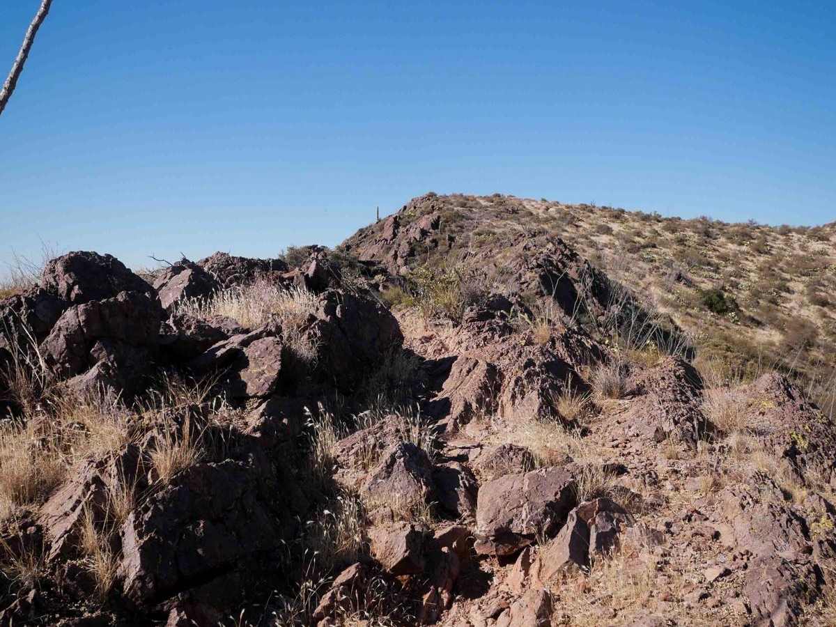 Picacho Peaks Singletrack photo 2