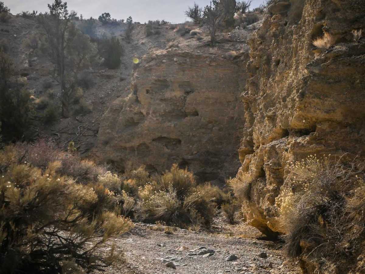 081 Bypass Trail photo 2