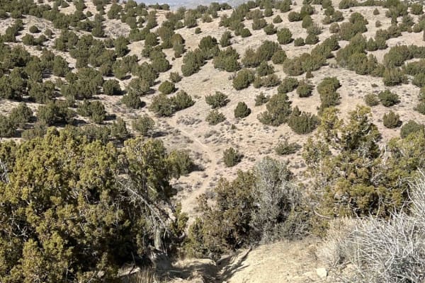 Eagle's Nest