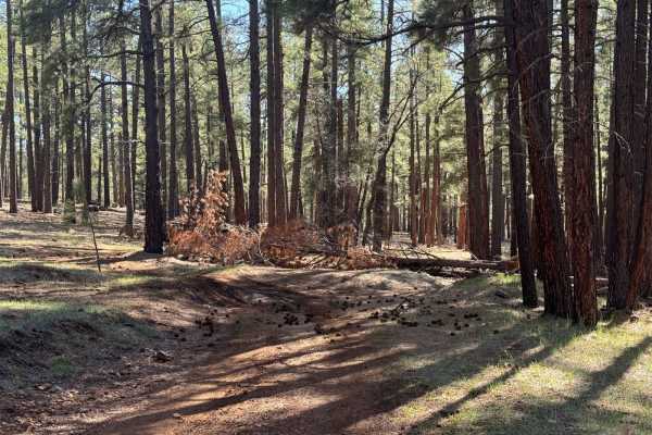 I-17 to Pumphouse Wash