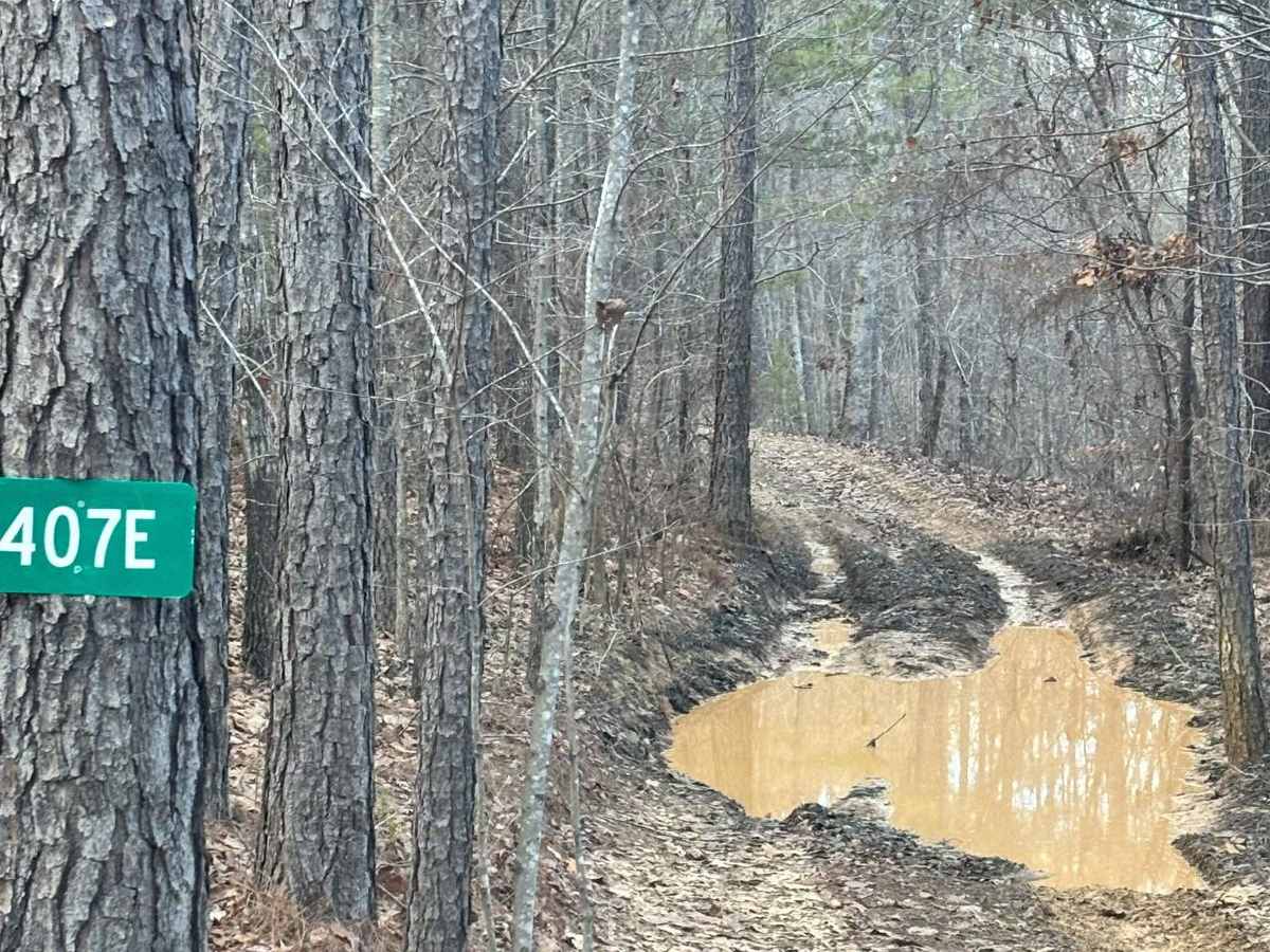 407E trail photo