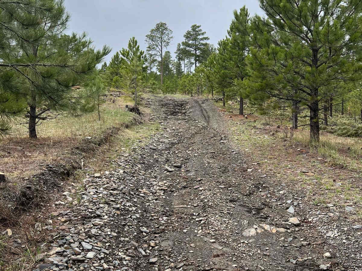 East Gimlet Trail photo 5
