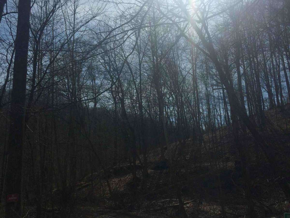 Hogan Overlook photo 6