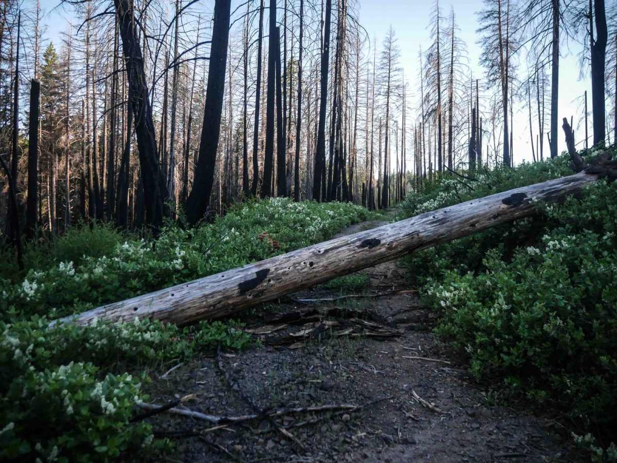 586 trail photo