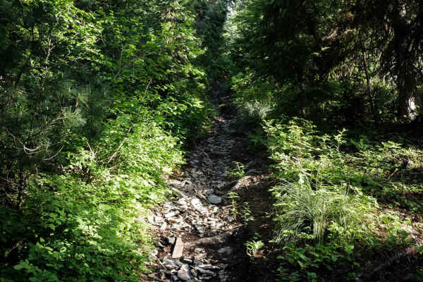 Elsie Peak