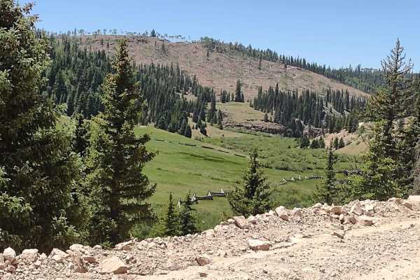 Buck Ridge Cut-Across (FS 4058/Paiute D-3/1A)