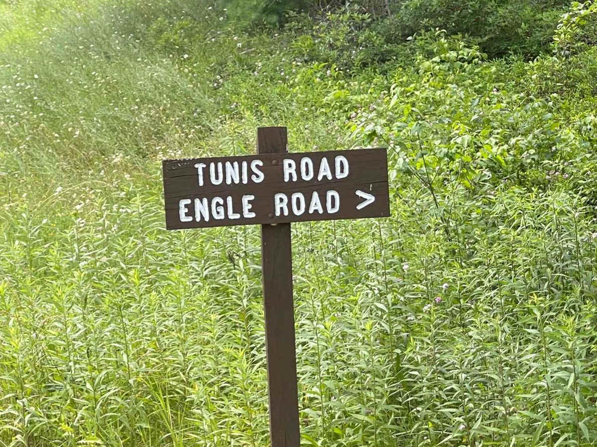 Tunis Road photo 5