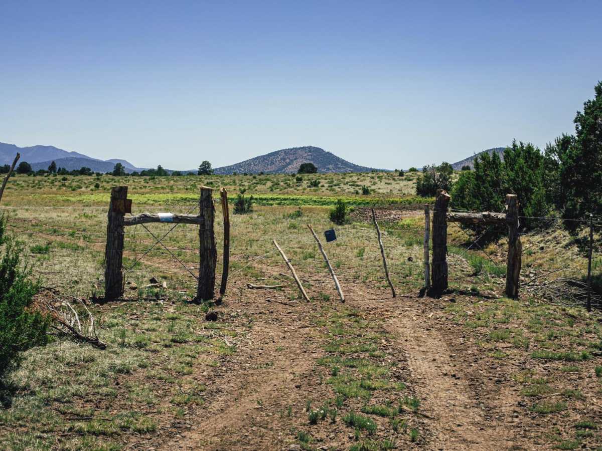 Pasture Mash photo 5