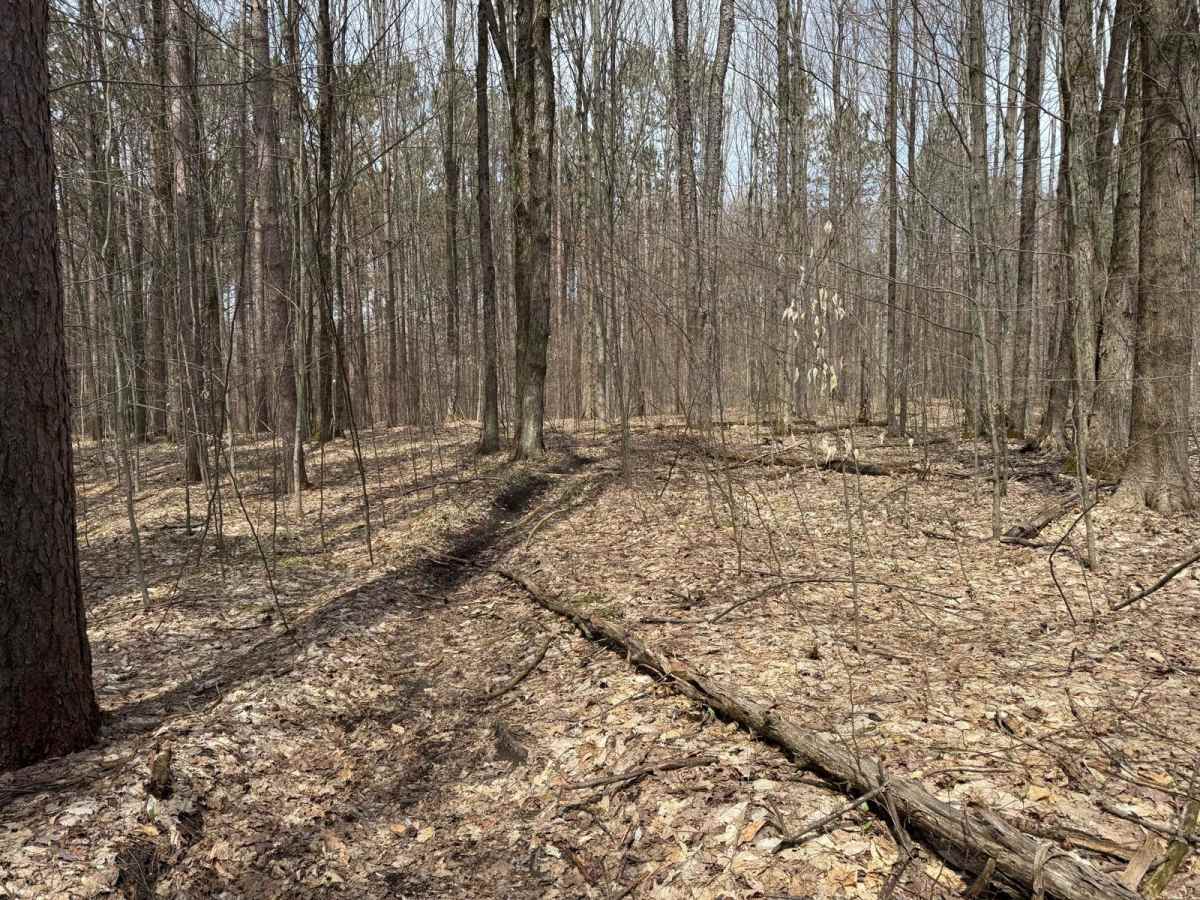 MCCCT - Caberfae Spur to West 38 photo 3